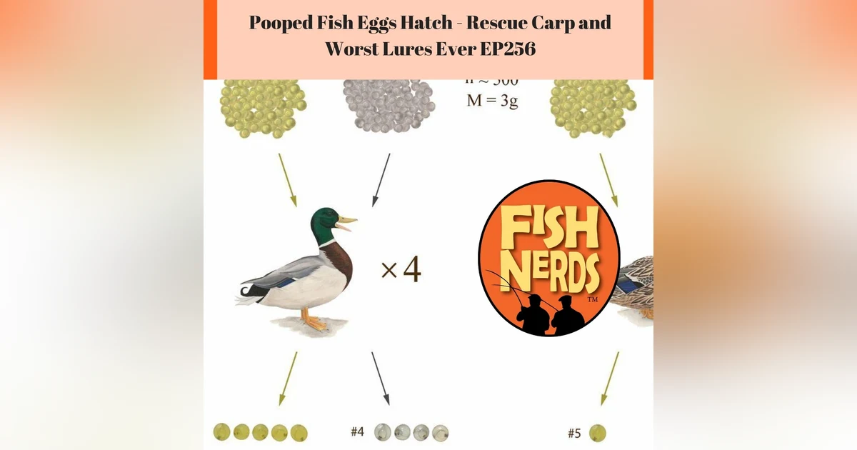 Pooped Fish Eggs Hatch - Rescue Carp and Worst Lures Ever