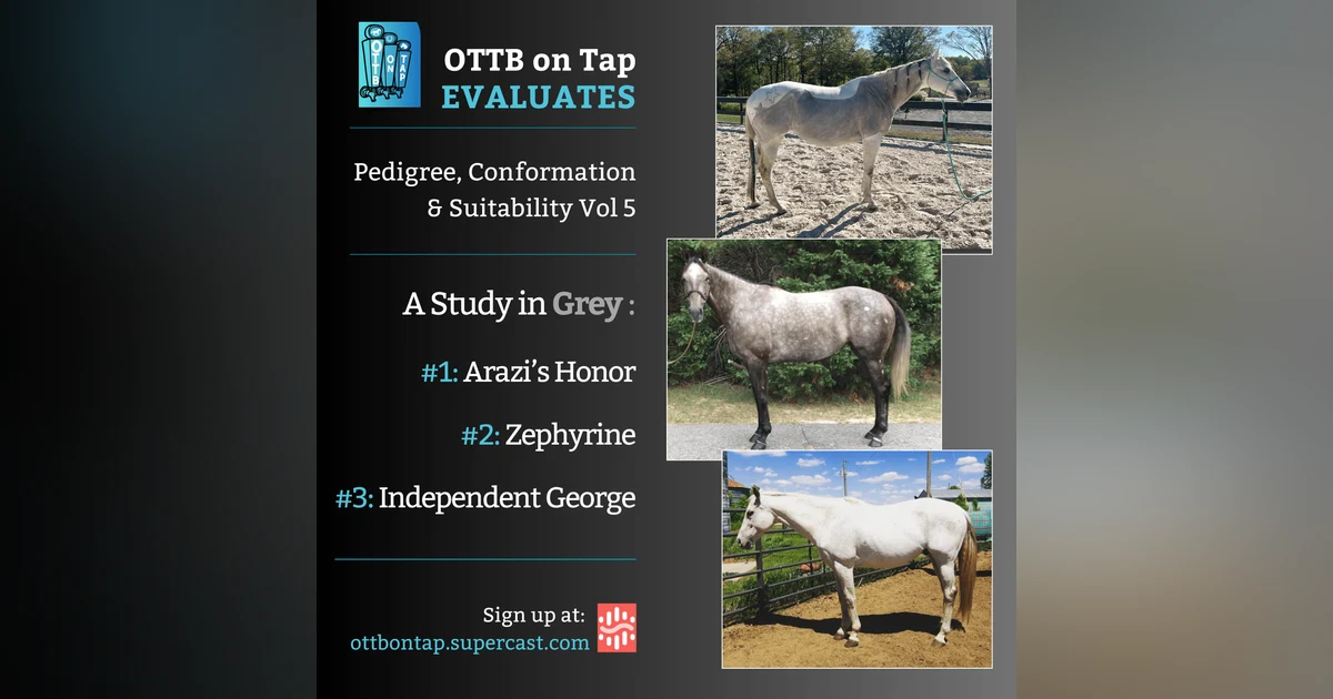 OTTB on Tap Evaluates Vol 5: A Study in Grey - Arazi's Honor, Zephyrine & Independent George
