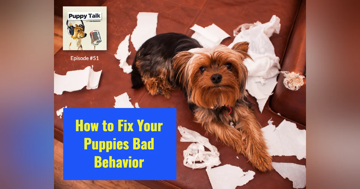 How to Fix Your Puppies Bad Behavior