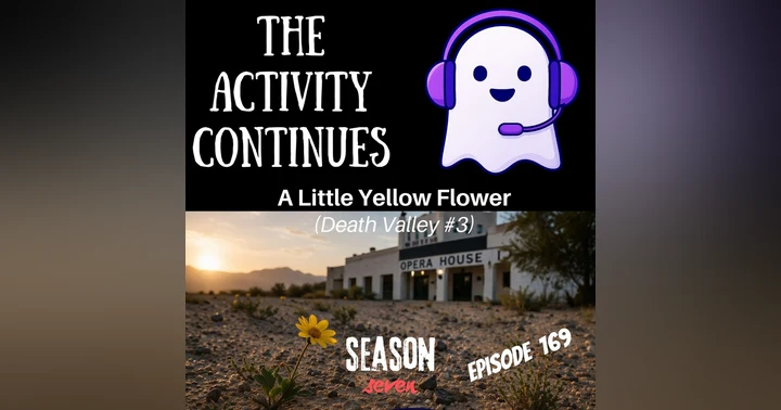 image for 169: A Little Yellow Flower (Death Valley #3)