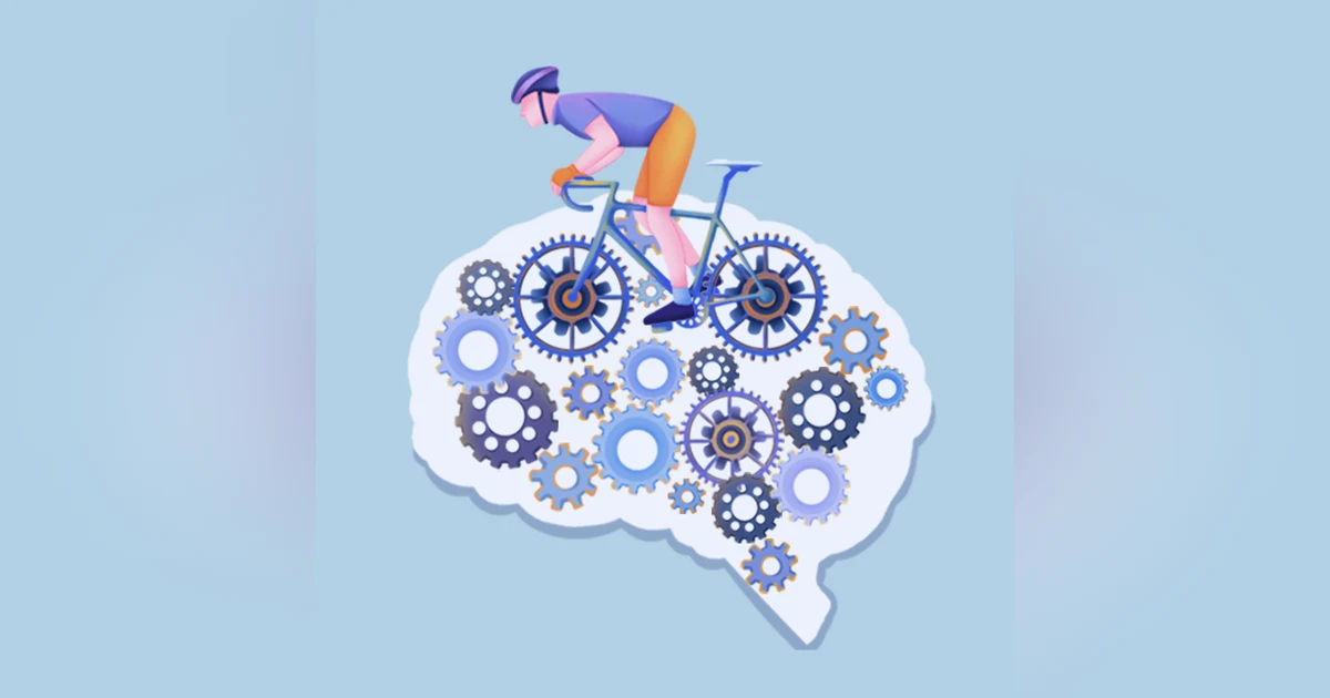 Spark Book Key Insight The Revolutionary New Science of Exercise and The Brain