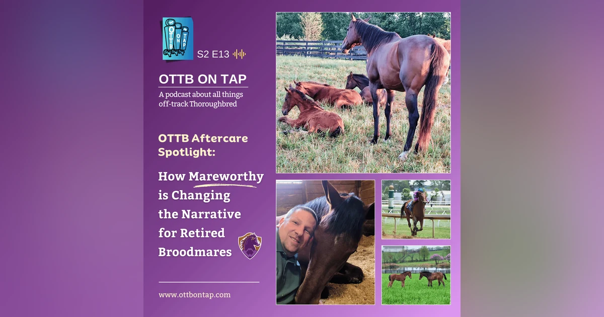 S2 E13: OTTB Aftercare Spotlight: How Mareworthy is Changing the Narrative for Retired Broodmares