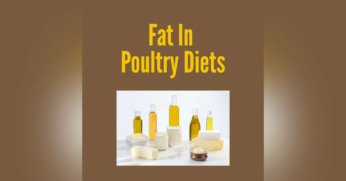 The Impportance of Fat in Poultry Diets-Bonus Content