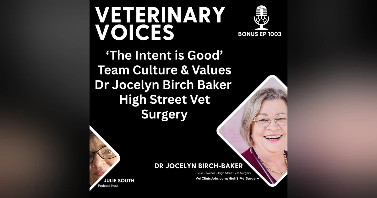 Dr Jocelyn Birch Baker: 'The Intent is Good' - Team Culture & Values | High Street Vet Surgery - ep 1003