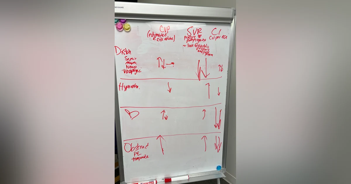 Shock and Hemodynamics