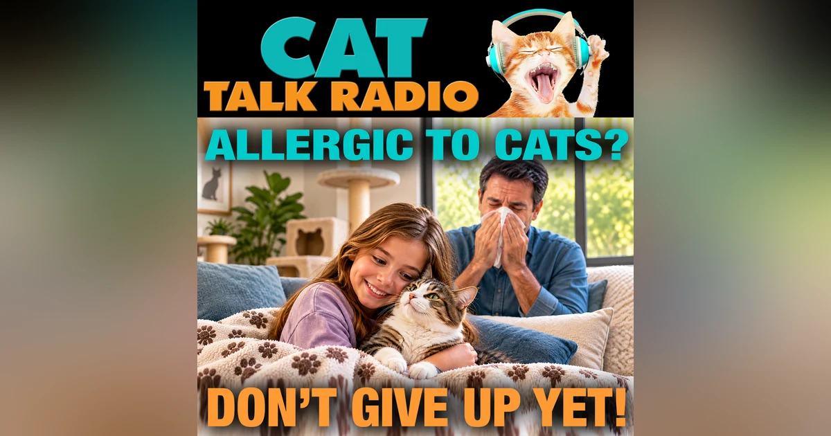 Allergic to Cats? Don't Give Up Yet!