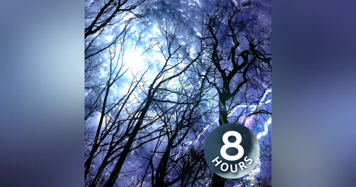 Forest Rain & Thunderstorm Sounds 8 Hours | Sleep or Study to Rain Falling White Noise