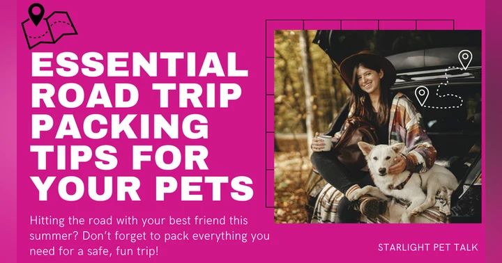 image for Essential Packing List for Road Trips with Pets