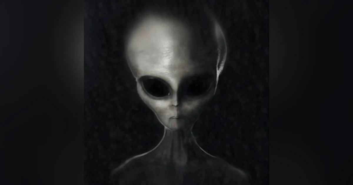 The Messengers: Owls, Synchronicity and the UFO Abductee