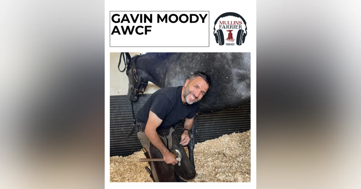 Gavin Moody AWCF