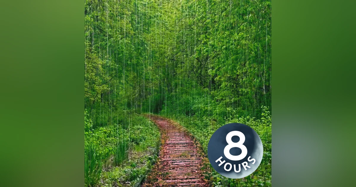 Rain White Noise | 8 Hour Storm Sounds Ambience for Relaxation & Sleep