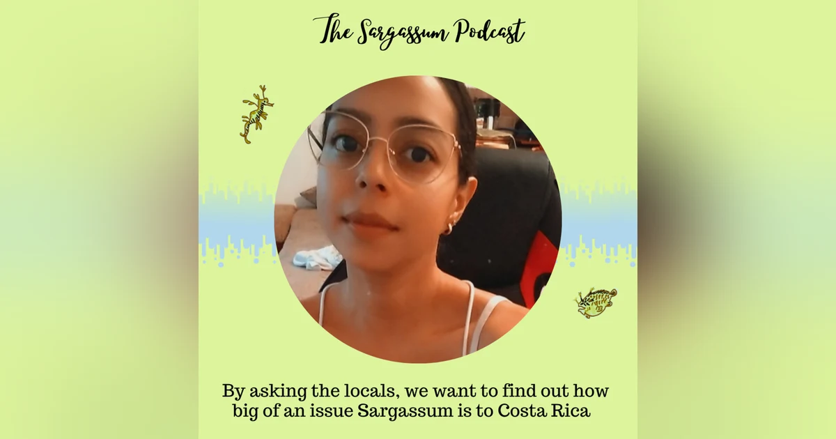 Episode 12: Assessing Sargassum landings through interviews with Paola Diaz