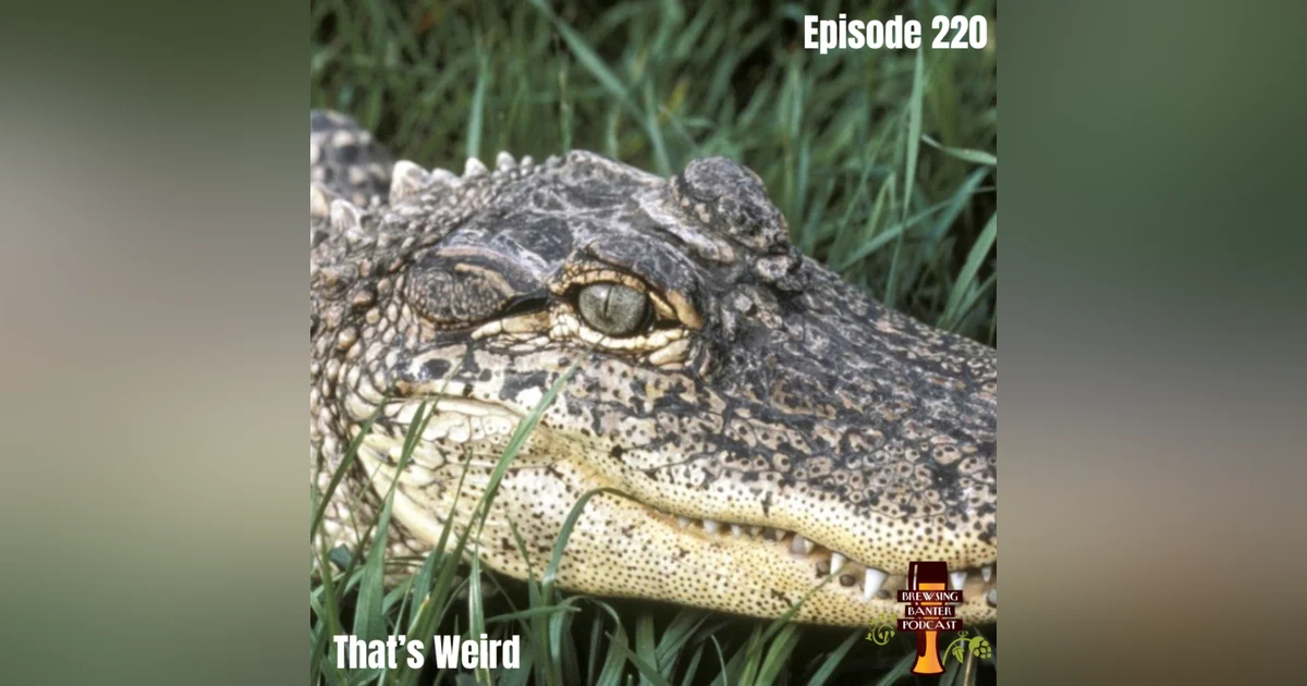 BBP 220 - That's Weird