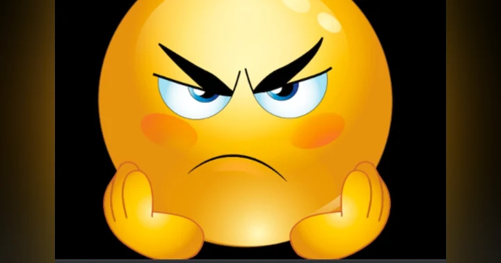 image for You're Mad, Is It Worth It?