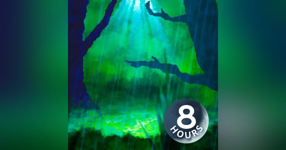 Rain Sounds in Forest 8 Hours | White Noise Sleep or Study Aid | Rainstorm