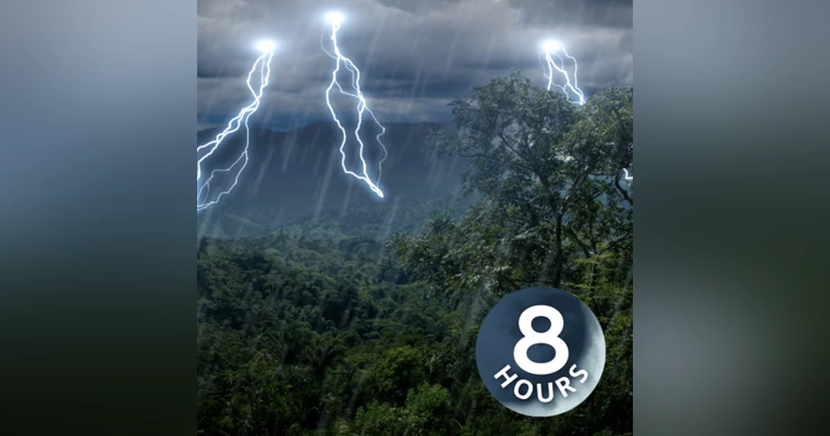 Rainforest Thunder & Rain Sleep Sounds 8 Hours | White Noise
