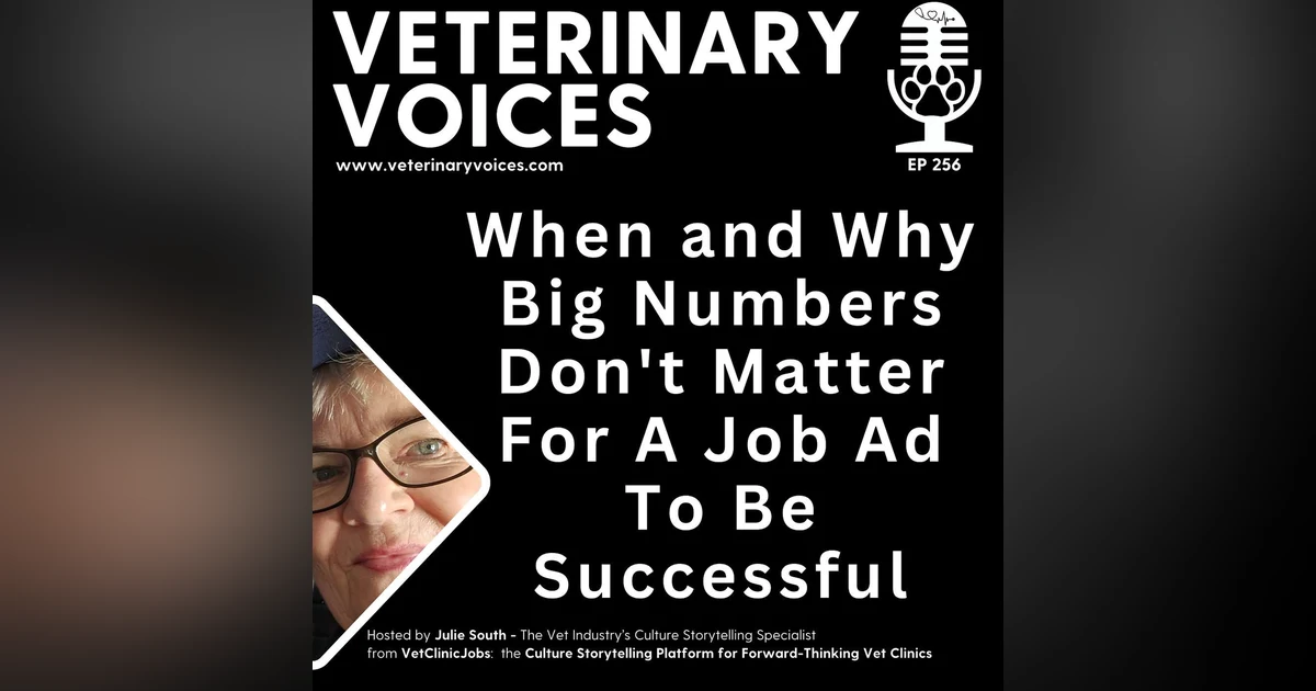 When and Why Big Numbers Don't Matter For A Job Ad To Be Successful - ep. 256