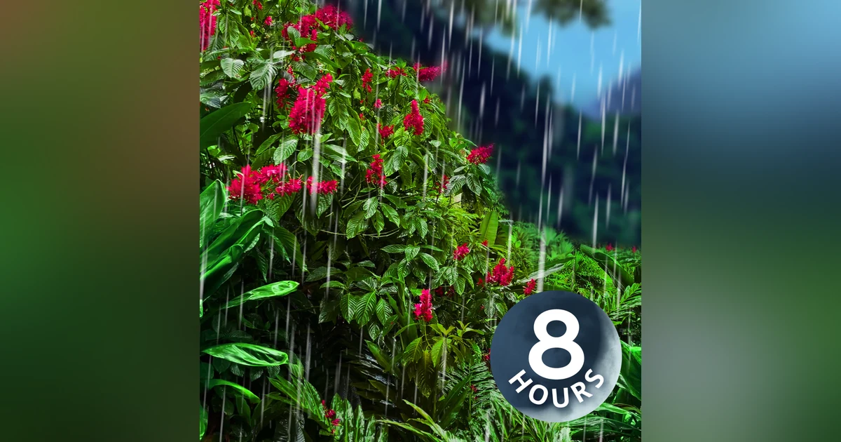 Heavy Rain Sounds in the Jungle | 8 Hour White Noise Rain Sounds for Sleeping