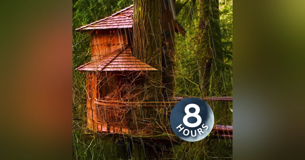 Noise of Rain for Sleep | Storm Sounds in Woods White Noise 8 Hours