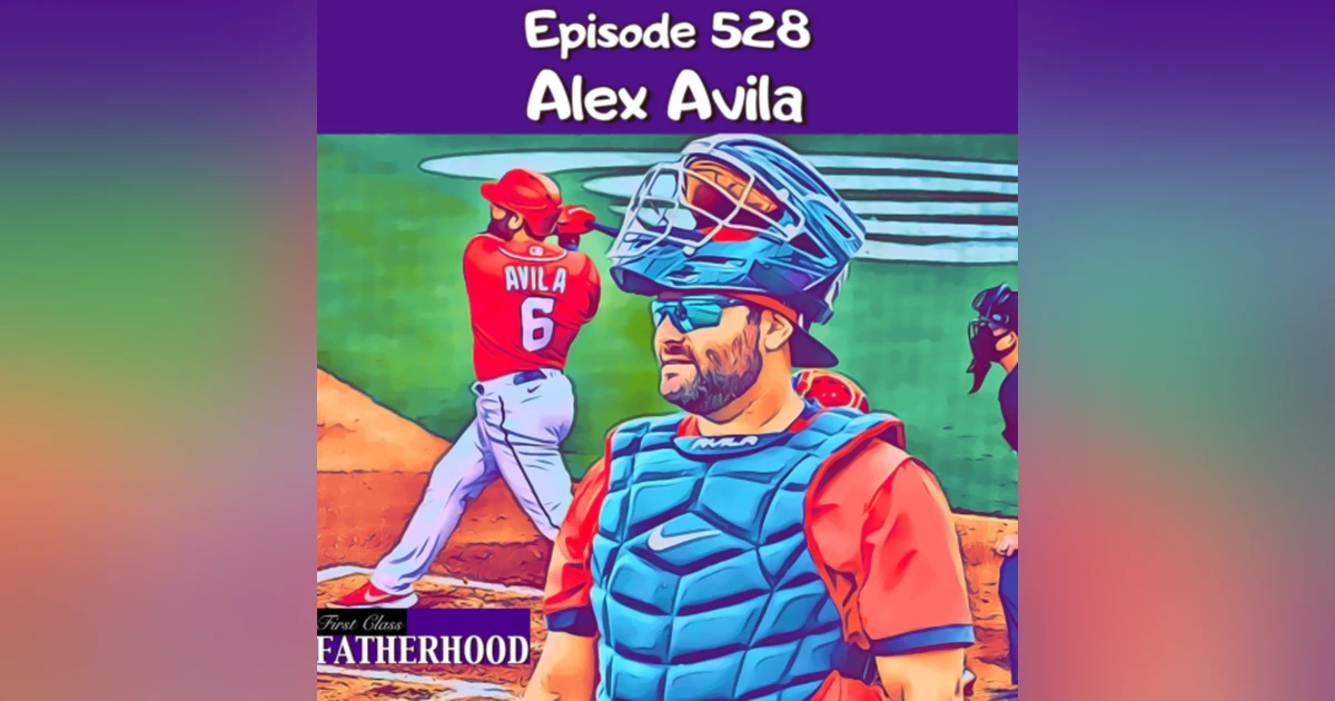 #528 Alex Avila