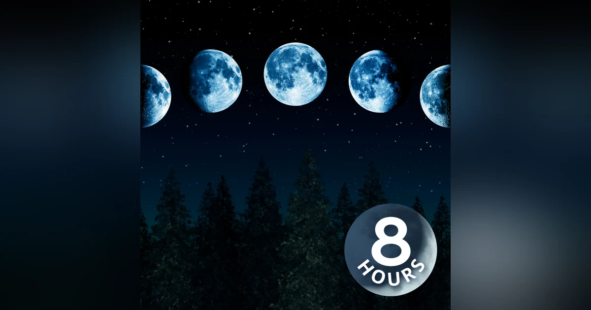 Get Sleep with White Noise Every Night! | 8 Hour