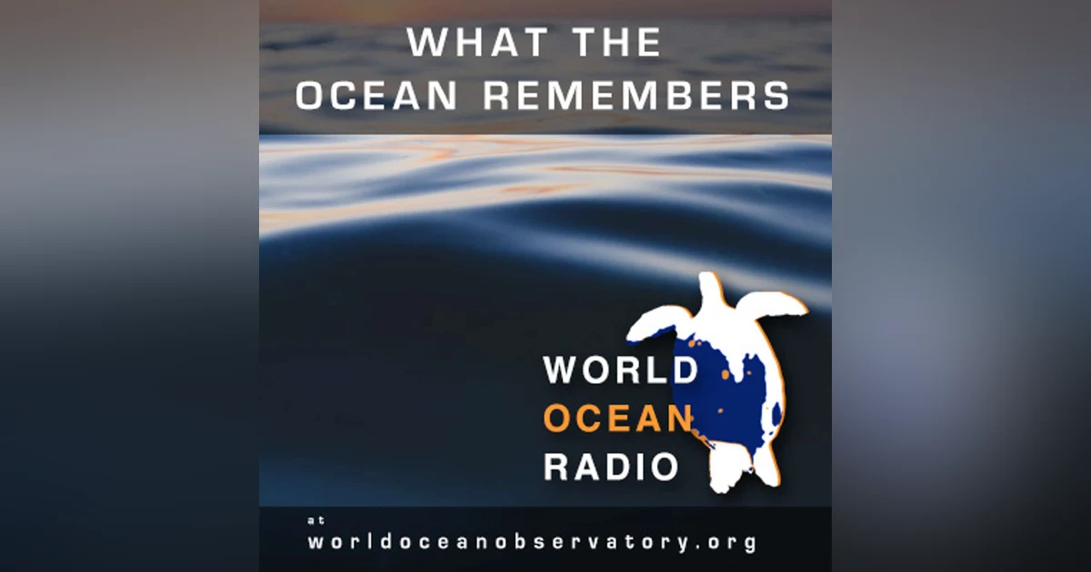 What the Ocean Remembers