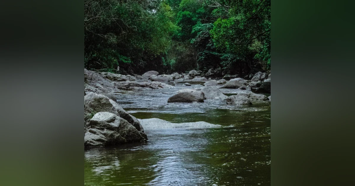 8 Hours of Active Small River Sounds for Relaxation