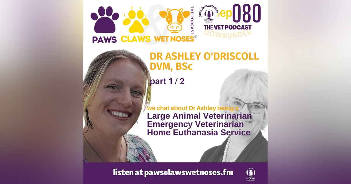 Dr Ashley O'Driscoll - Large Animal Veterinarian + Emergency Veterinarian + Paw Print Home Euthanasia Service