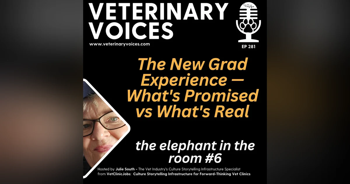 The New Grad Experience — What's Promised vs What's Real - 281