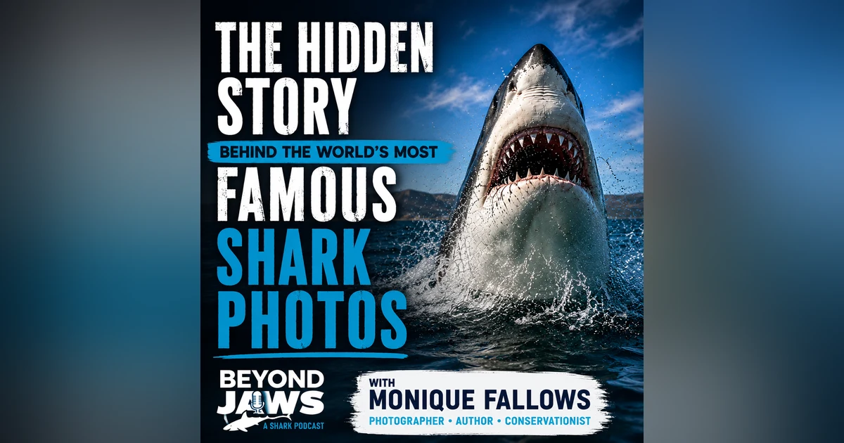 What Does a Camera Have to Do With Saving Sharks?