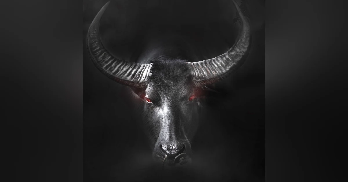 Ep.149 – By the Horns - These Cows are Hungry... FOR YOU!