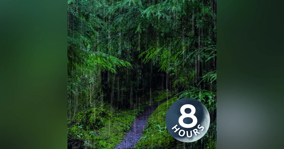 Rain Sounds for Sleep in Relaxing Rainforest | 8 Hours