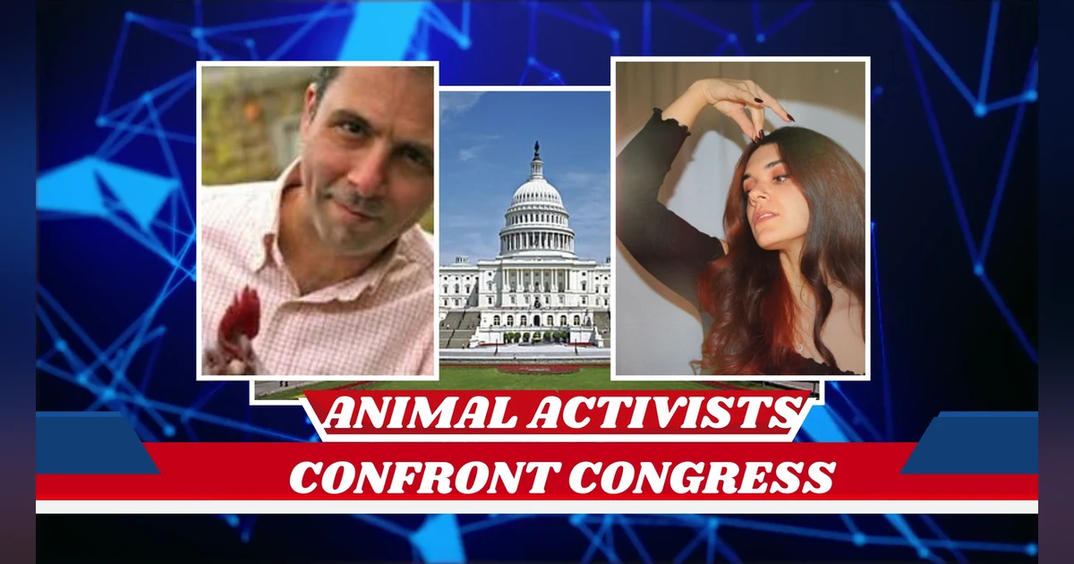 Inside the Capitol: Activists Confront Senetors