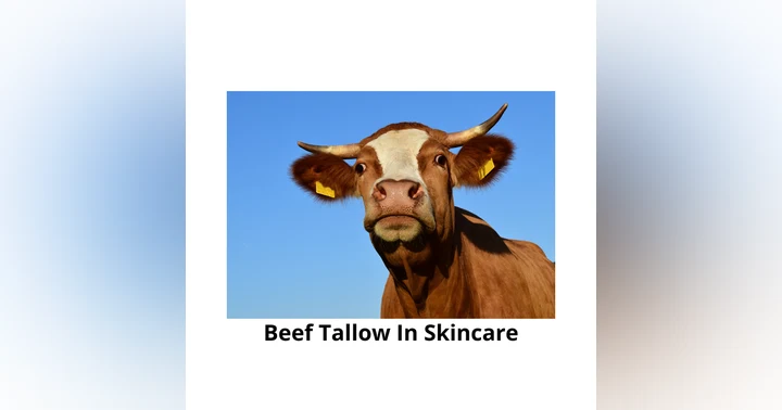image for Is Beef Tallow Good for Skin? A Science-Based Look at Barrier Function and Acne Risk