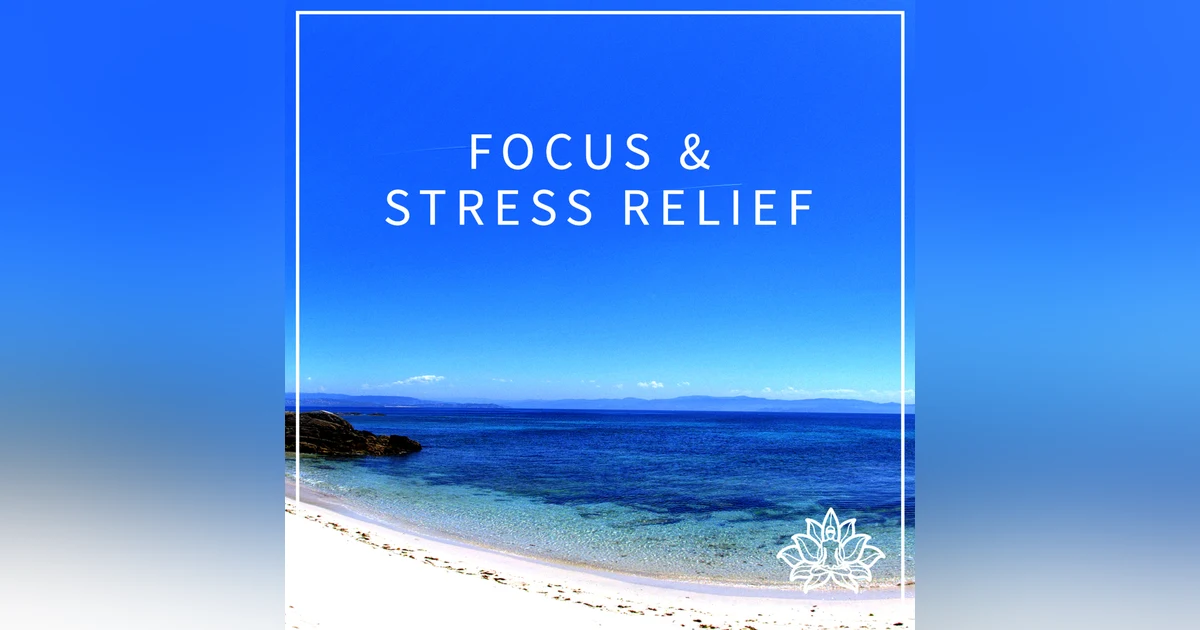 #2 FOCUS & STRESS RELIEF - 15 MINUTE IMMERSIVE GUIDED MEDITATION 🙏