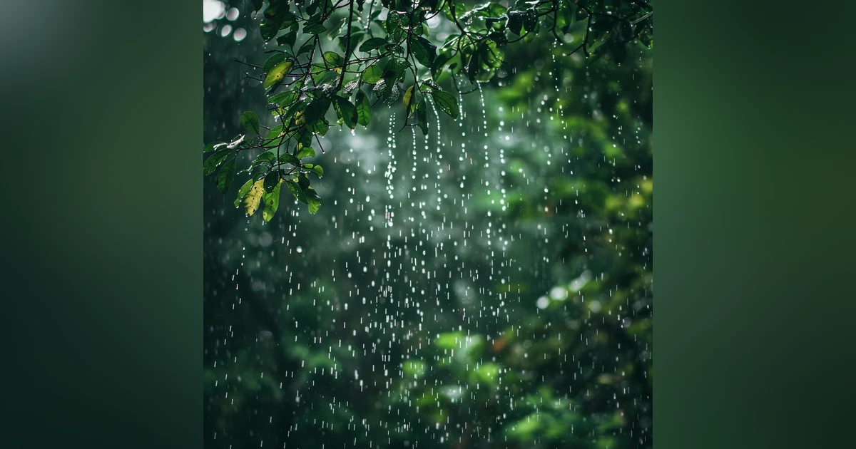 Rain Sounds For Stress Relief, Improved Sleep Quality, Enhanced Focus and Concentration, Anxiety Reduction, Meditation and Mindfulness Enhancement, Connection to Nature