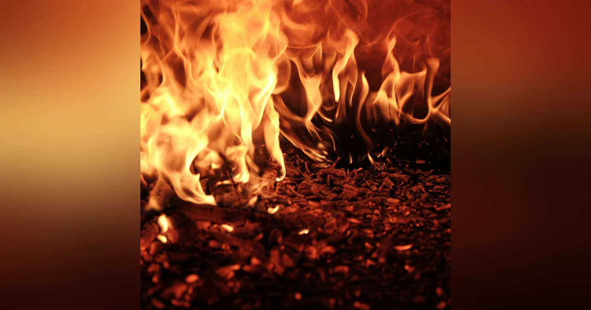 Fire in Built Environments (Special Episode: LA Fires) with Alexandra Syphard