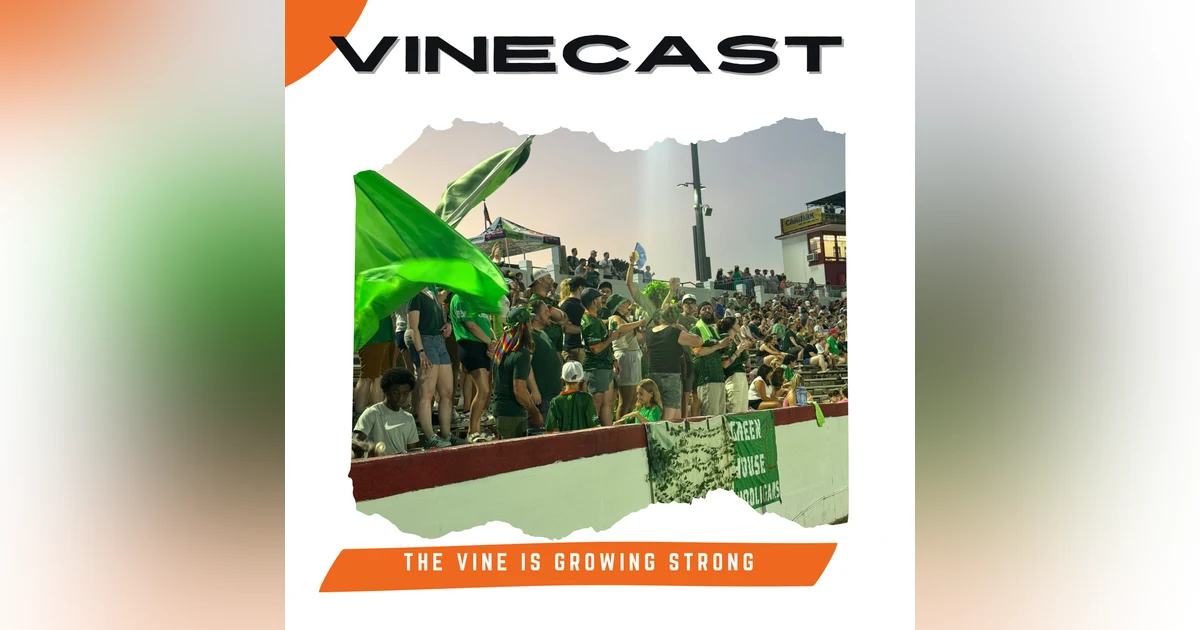 The Vine is growing strong