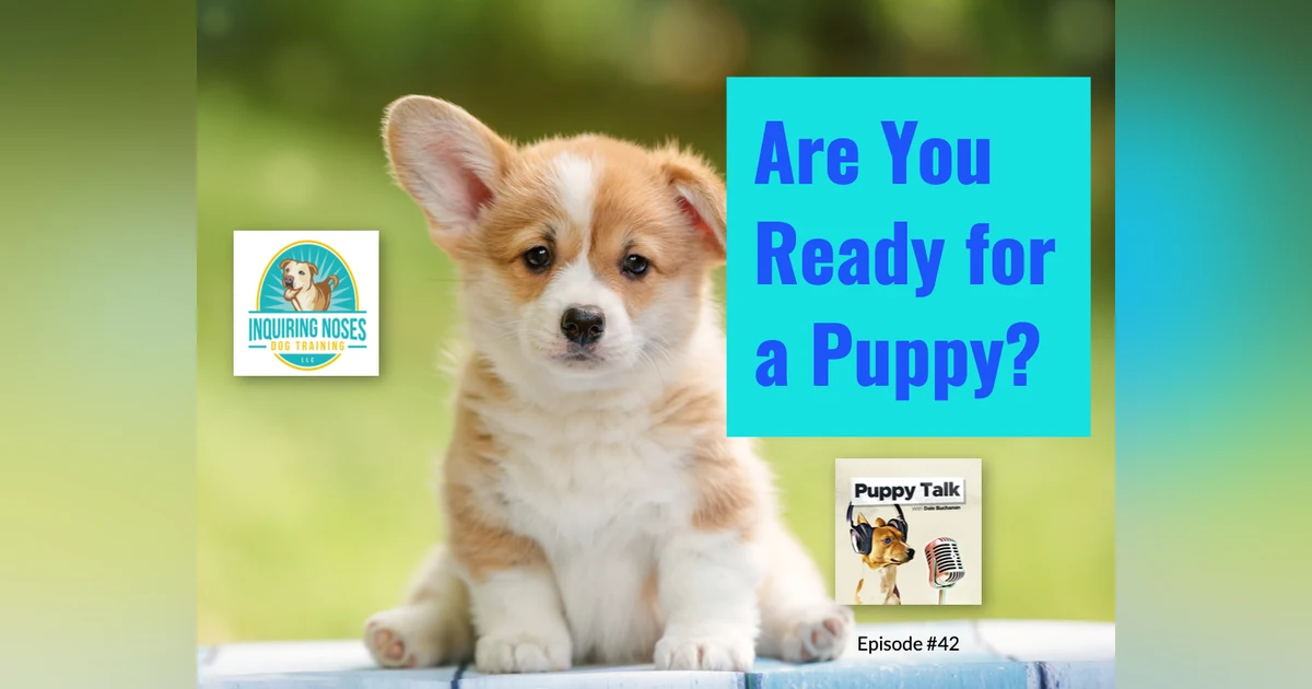 Are You Ready for a Puppy?