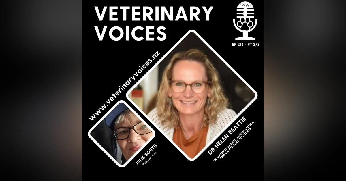 Every Cat in a Lap: How Change Starts in Your Vet Clinic | Dr Helen Beattie - pt 2