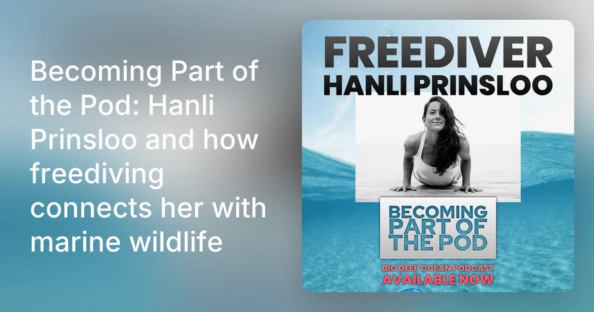Becoming Part of the Pod: Hanli Prinsloo and how freediving conn…
