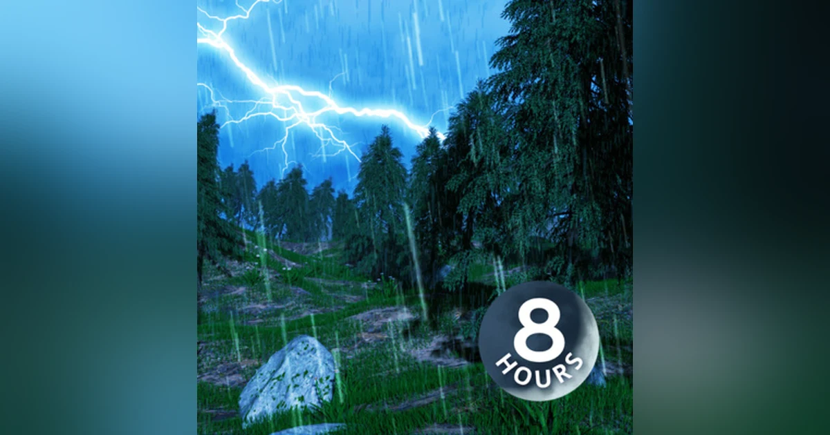 Forest Rain Sounds for Sleep | Thunderstorm White Noise 8 Hours