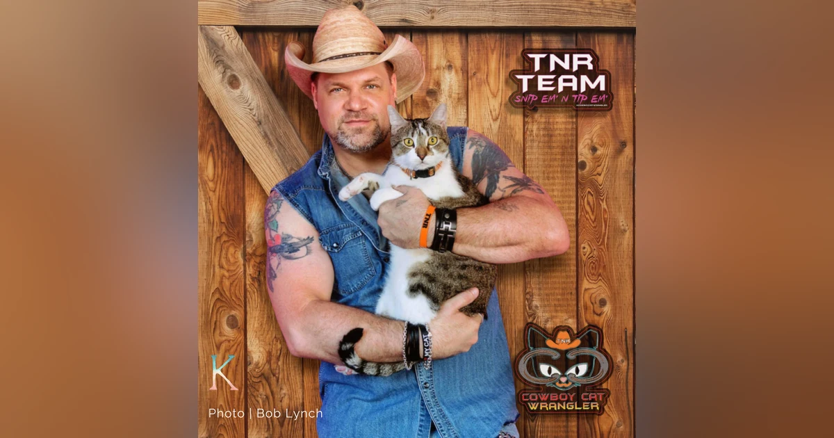 Cowboy Cat Wrangler | With Bob Lynch, Community Cat Carer & Educator
