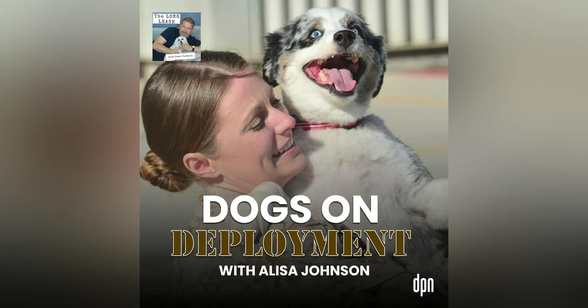 Dogs on Deployment with Alisa Johnson | The Long Leash #051