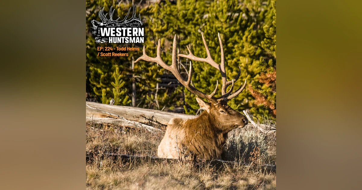 224. Grizzlies, Public Lands, and the Fight for the Outdoors | Scott Reekers & Todd Helms