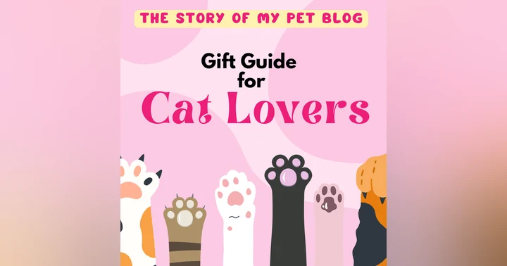 image for Great Gifts for Cat Lovers
