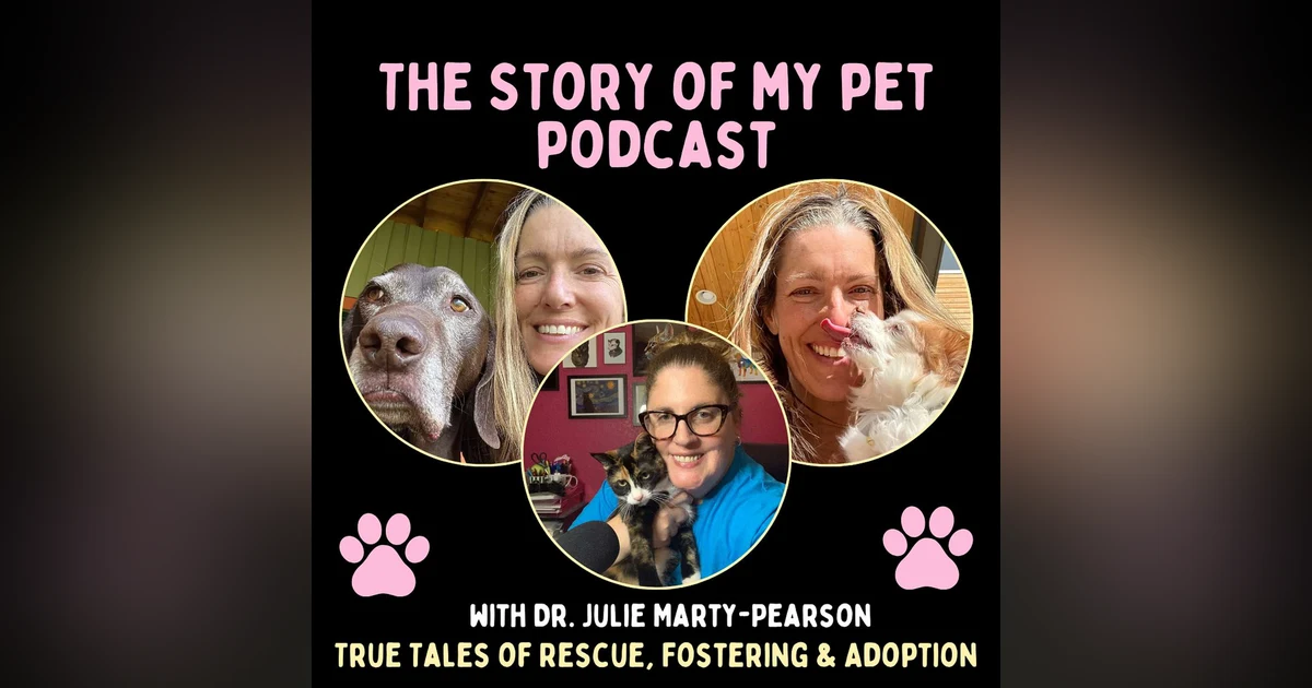 Finding Joy in Aging Pets: Angela Dinsmoor’s Advocacy for Senior Dogs