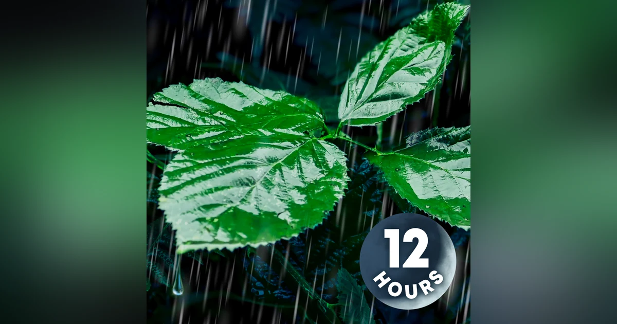 Relaxing Rain Noise for Sleep, Relaxation, & Total Tranquility 12-Hours