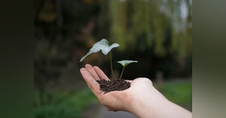 image for Growth Is a Responsibility, Not a Race