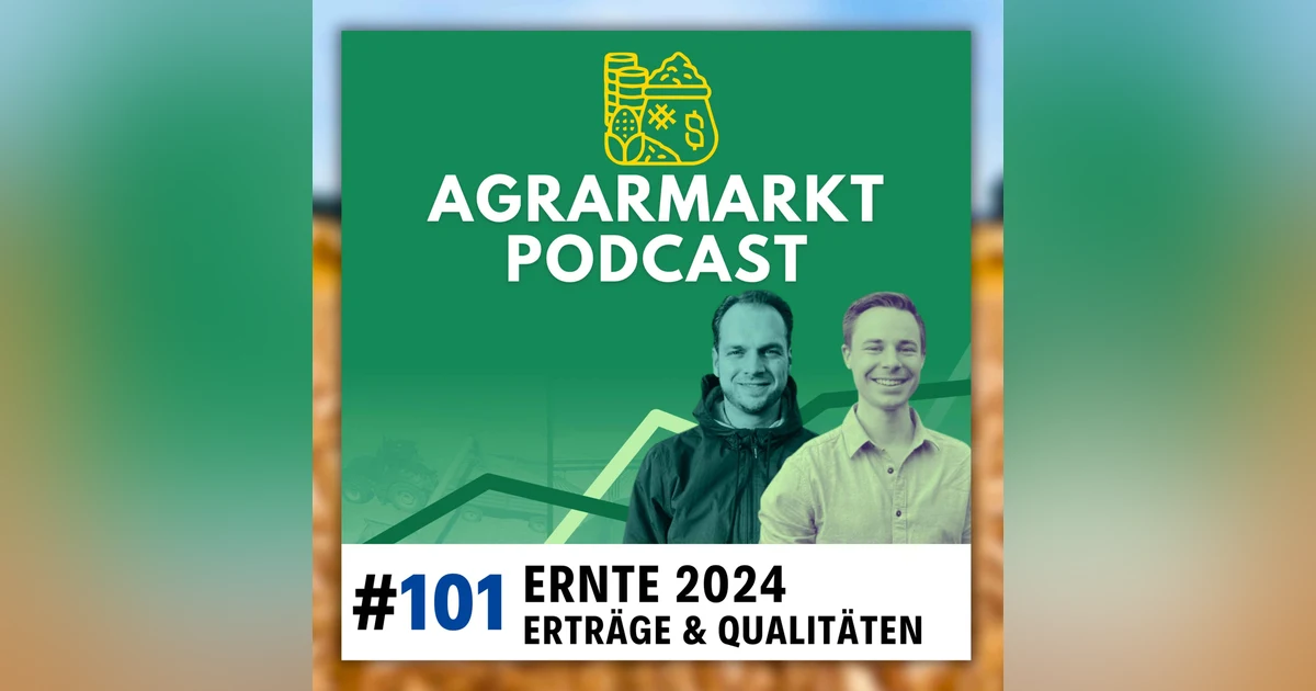Ernte 2024: Überblick zu Erträge & Qualitäten von Raps + Weizen